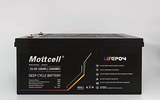 Lightweight 24V 100ah Lifepo4 Battery Pack Rechargeable Lithium Ion Phosphate Battery