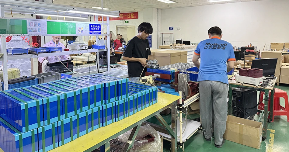 lithium-ion batteries